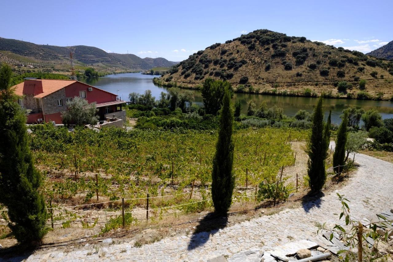 Olhares Do Douro Guest House ตอร์เฮ เด มองคอร์โว ภายนอก รูปภาพ