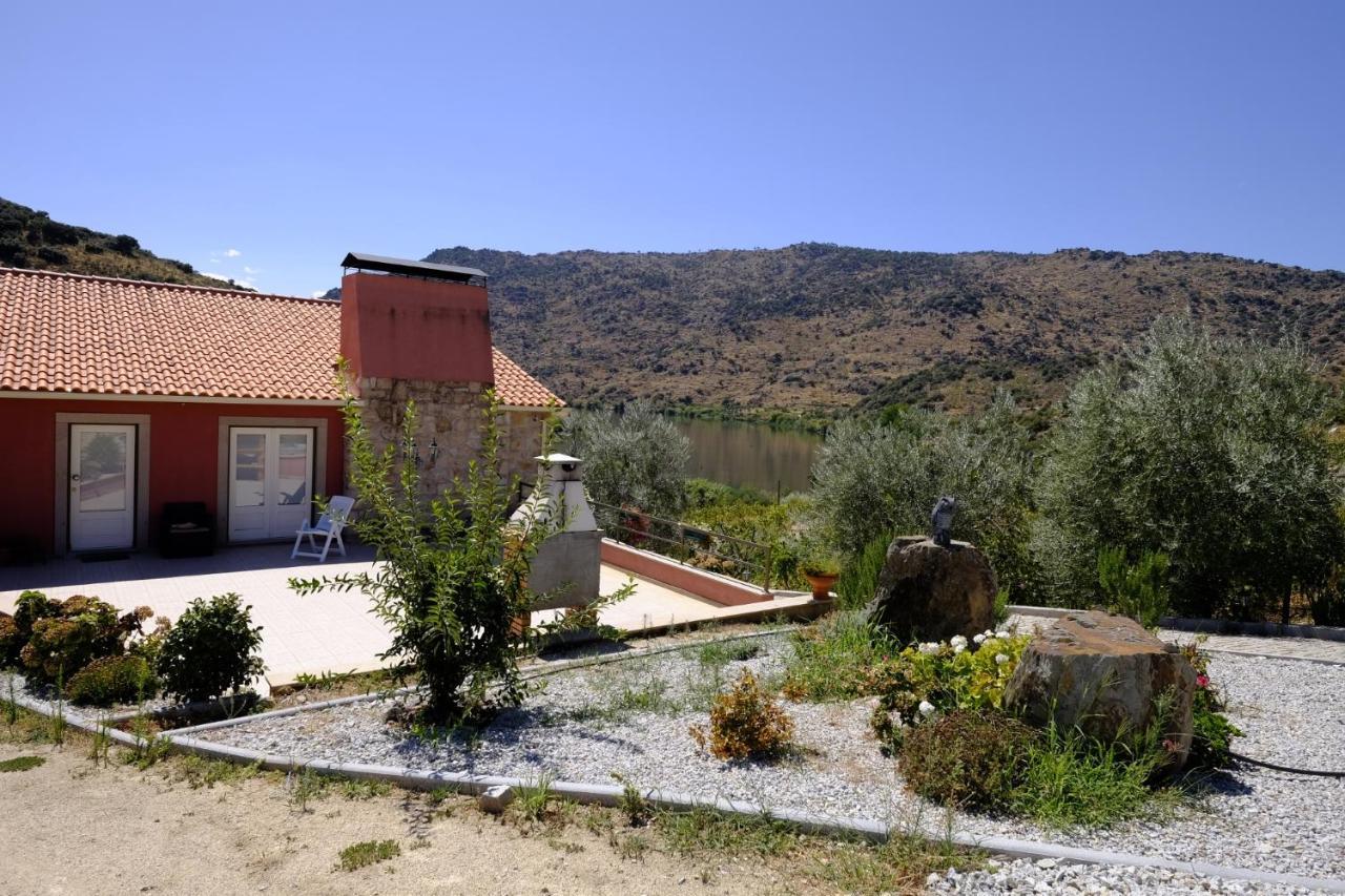 Olhares Do Douro Guest House ตอร์เฮ เด มองคอร์โว ภายนอก รูปภาพ
