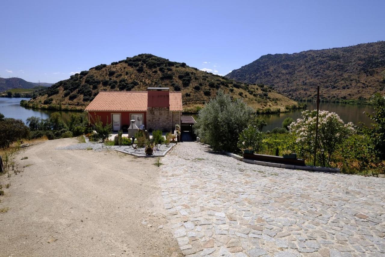 Olhares Do Douro Guest House ตอร์เฮ เด มองคอร์โว ภายนอก รูปภาพ
