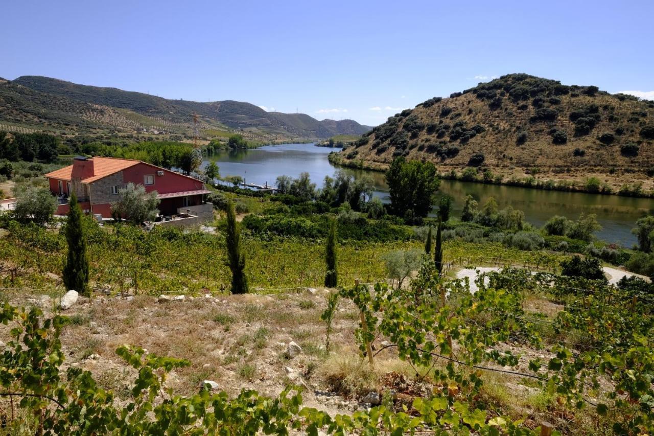 Olhares Do Douro Guest House ตอร์เฮ เด มองคอร์โว ภายนอก รูปภาพ