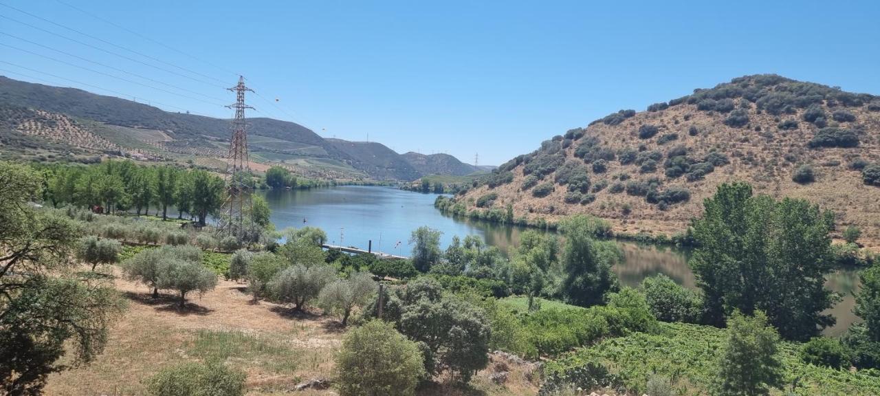 Olhares Do Douro Guest House ตอร์เฮ เด มองคอร์โว ภายนอก รูปภาพ