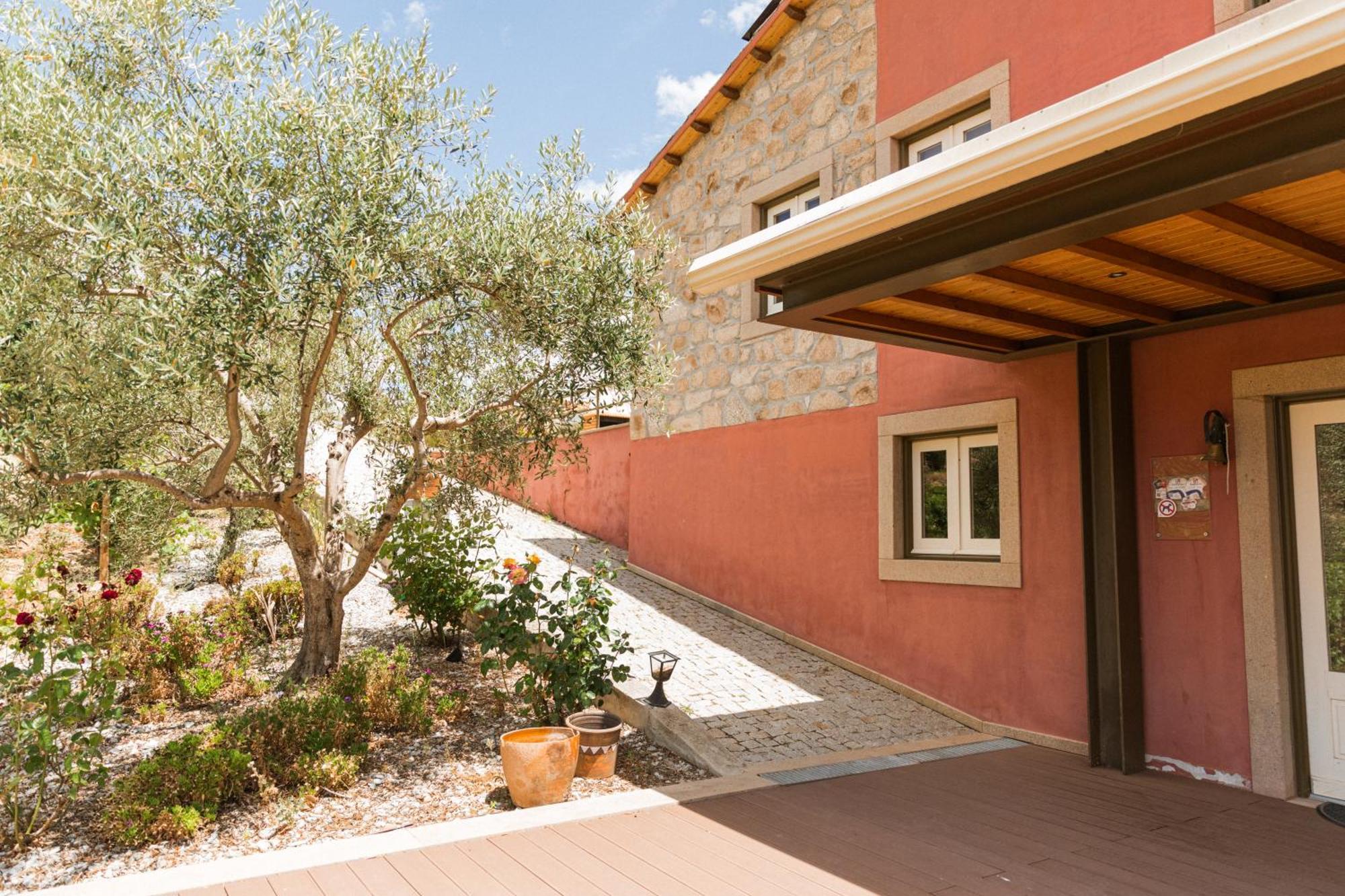 Olhares Do Douro Guest House ตอร์เฮ เด มองคอร์โว ภายนอก รูปภาพ