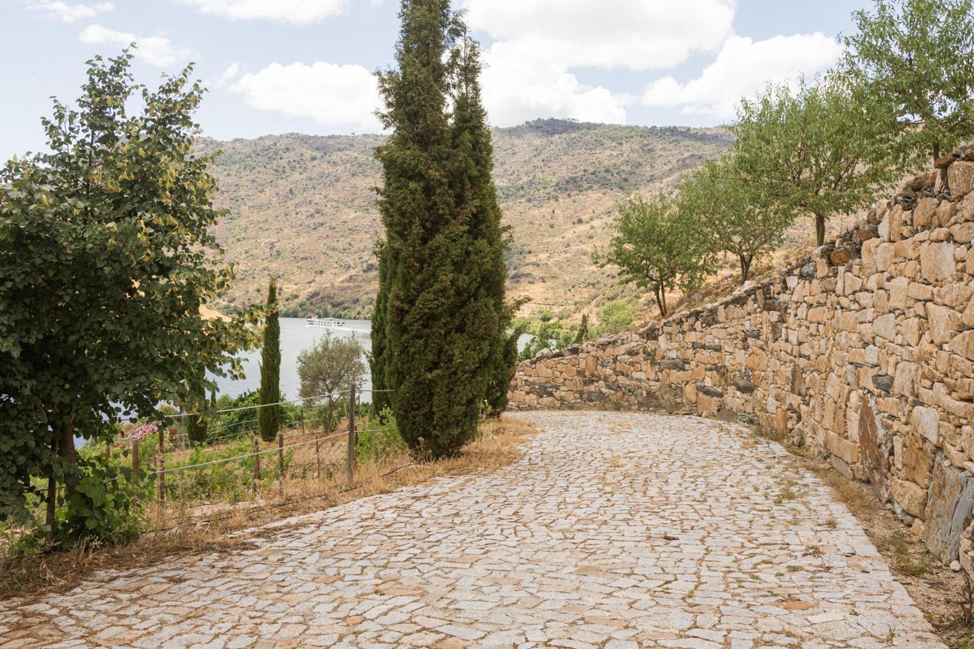 Olhares Do Douro Guest House ตอร์เฮ เด มองคอร์โว ภายนอก รูปภาพ