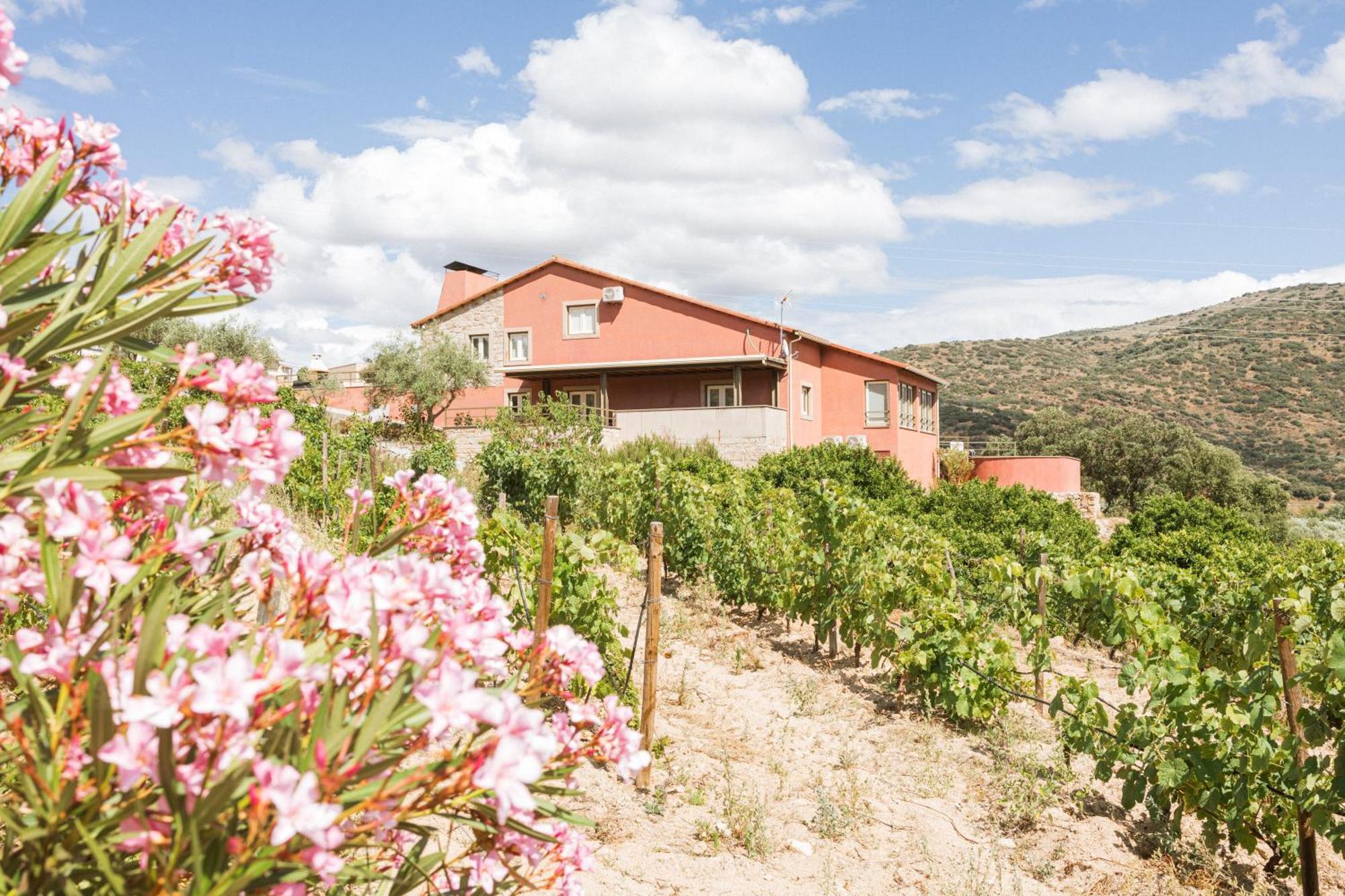 Olhares Do Douro Guest House ตอร์เฮ เด มองคอร์โว ภายนอก รูปภาพ