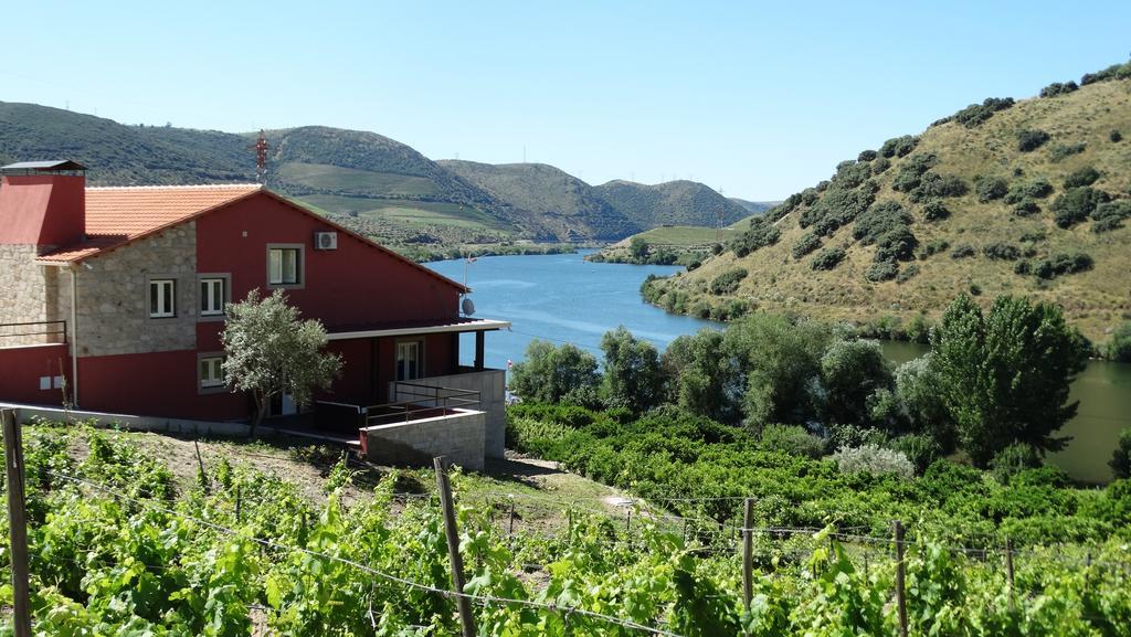 Olhares Do Douro Guest House ตอร์เฮ เด มองคอร์โว ภายนอก รูปภาพ