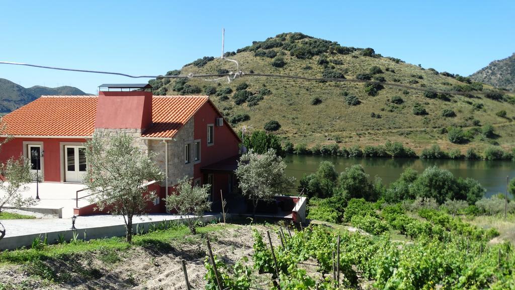 Olhares Do Douro Guest House ตอร์เฮ เด มองคอร์โว ภายนอก รูปภาพ