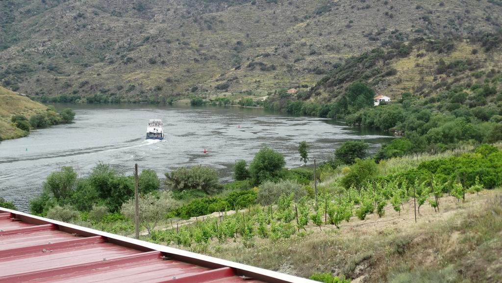 Olhares Do Douro Guest House ตอร์เฮ เด มองคอร์โว ภายนอก รูปภาพ
