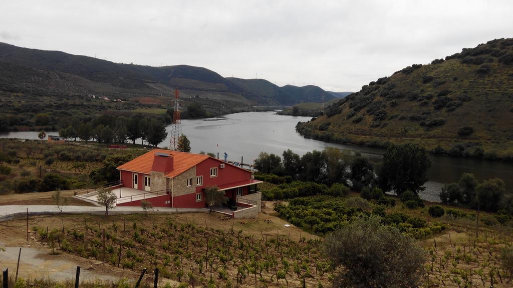 Olhares Do Douro Guest House ตอร์เฮ เด มองคอร์โว ภายนอก รูปภาพ
