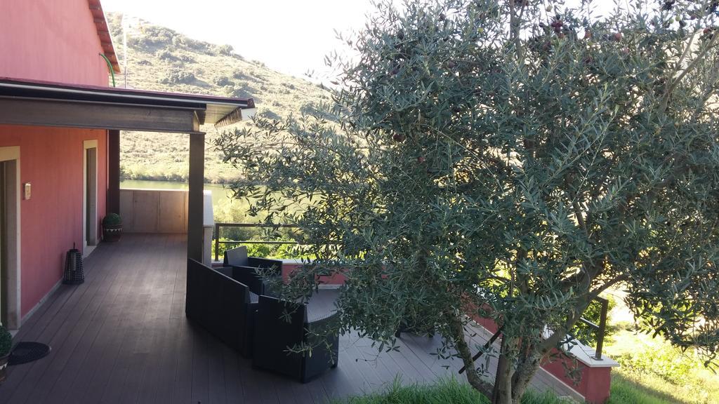 Olhares Do Douro Guest House ตอร์เฮ เด มองคอร์โว ภายนอก รูปภาพ